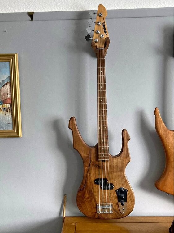 unique_bass.thumb.jpg.e3d0cdbce92fb02312383ae6836afa91.jpg