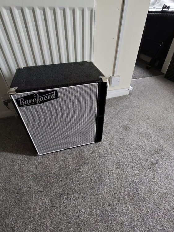 Barefaced SuperMini 1.jpg