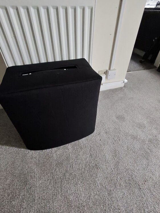 Barefaced SuperMini 3.jpg