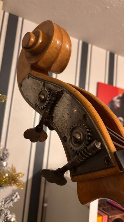 WhatsApp Image 2025-12-03 at 11.49.37 (2).jpeg