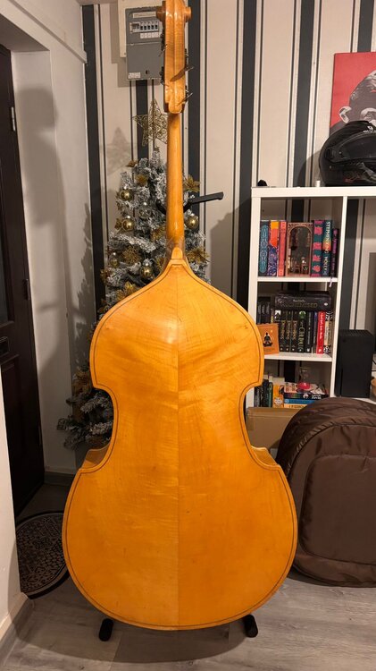 WhatsApp Image 2025-12-03 at 11.49.37 (3).jpeg