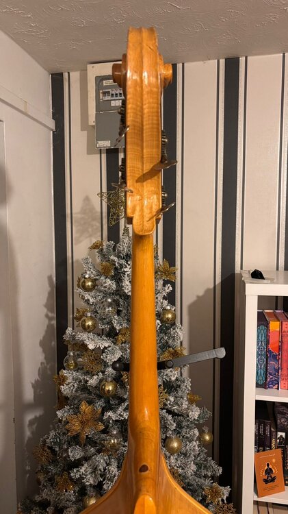 WhatsApp Image 2025-12-03 at 11.49.37 (4).jpeg