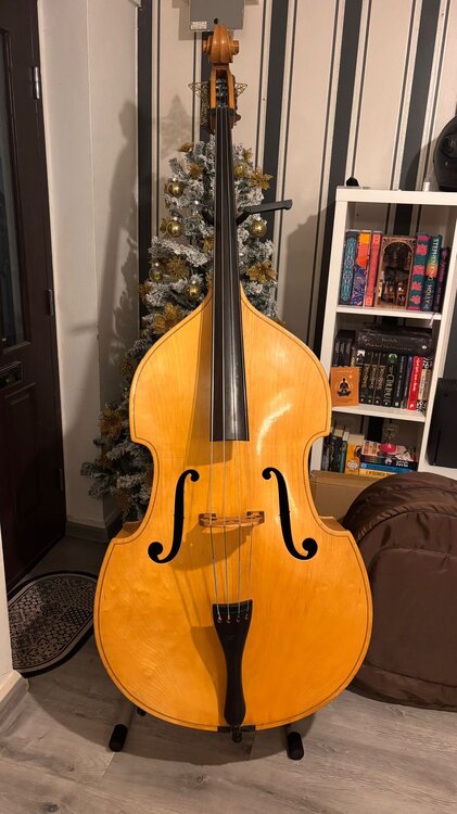 WhatsApp Image 2025-12-03 at 11.49.37.jpeg