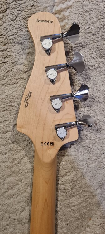 blue back of head.jpg