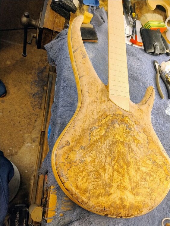 IMAGE 2026-01-05 08:28:23.jpg