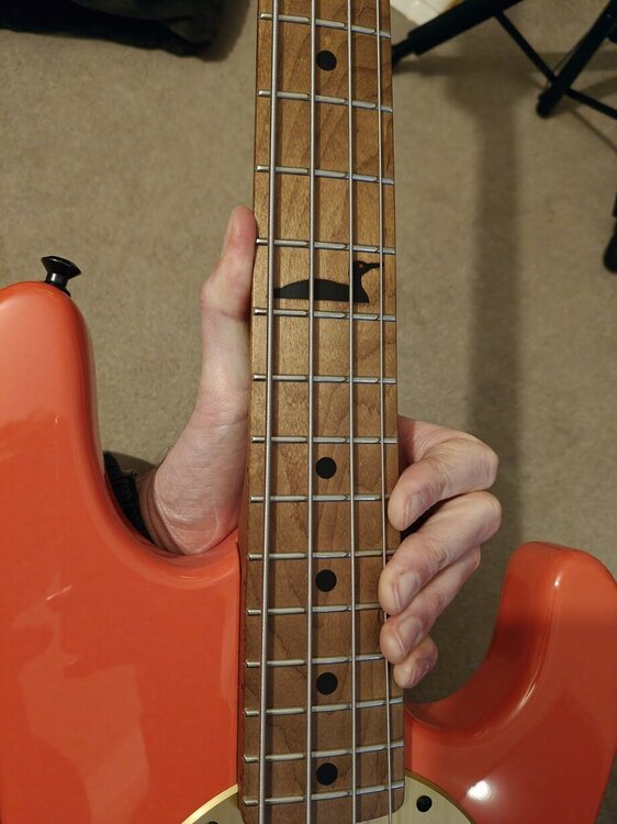 Wentz_StingRay_Bass_resized_16.thumb.jpg.2e8cca9bdbd48d52ae07d26f68d8f5ed.jpg