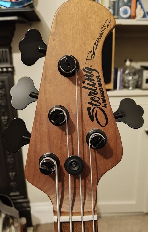 Wentz_StingRay_Bass_resized_18.thumb.jpg.7f4d624cc9807f3a9f6f267eb6a516ff.jpg
