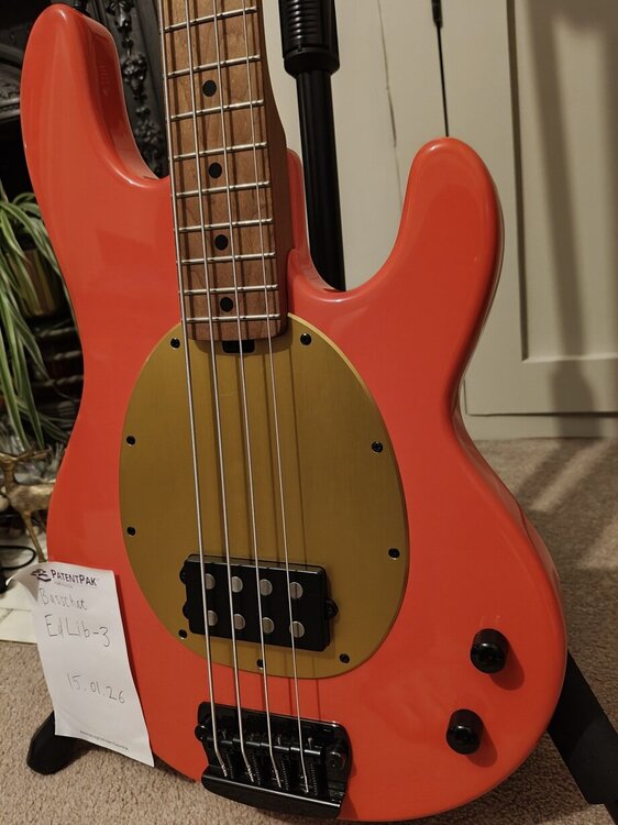 Wentz_StingRay_Bass_resized_7.thumb.jpg.a89f1dd5b687dfba672d61005023df38.jpg