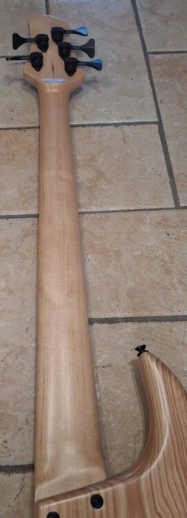 Immagine WhatsApp 2026-01-10 alle 15.14.24.jpeg