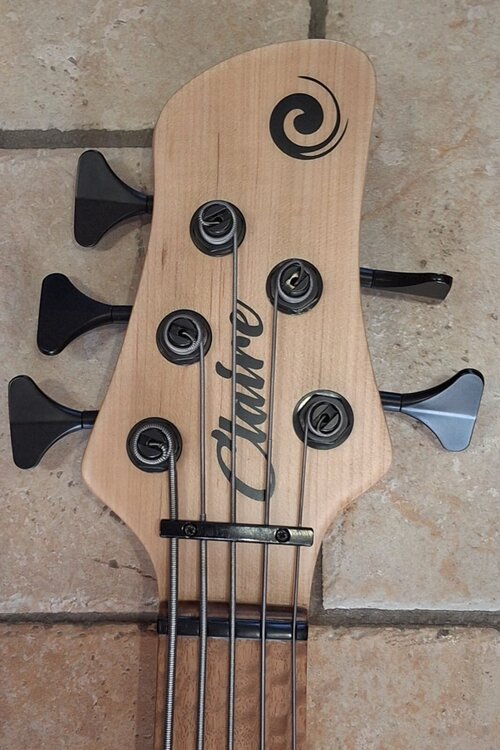 Immagine WhatsApp 2026-01-10 alle 15.14.25.jpeg