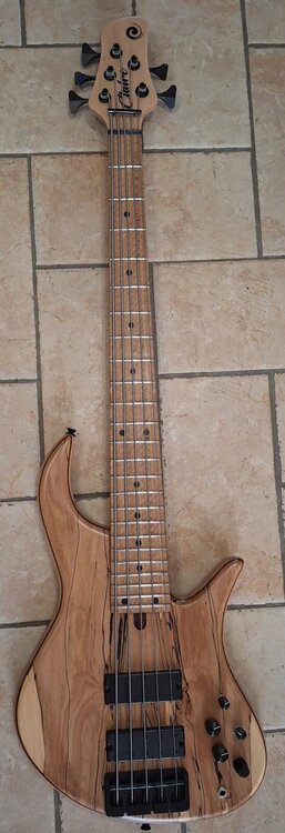 Immagine WhatsApp 2026-01-10 alle 15.14.26.jpeg