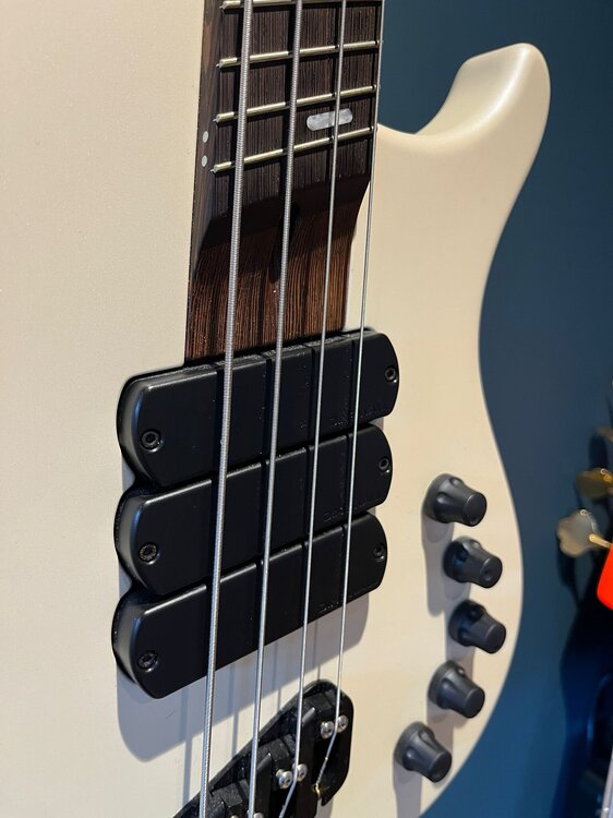 WhatsApp Image 2026-01-17 at 11.20.32 (1).jpeg