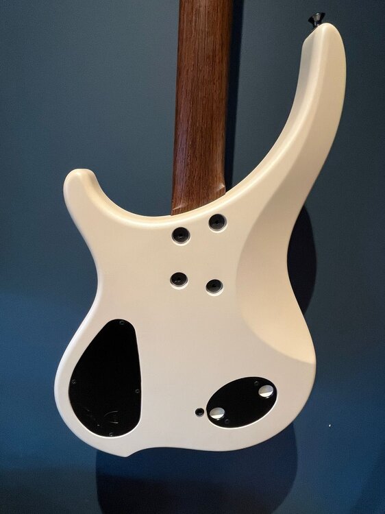 WhatsApp Image 2026-01-17 at 11.20.31.jpeg