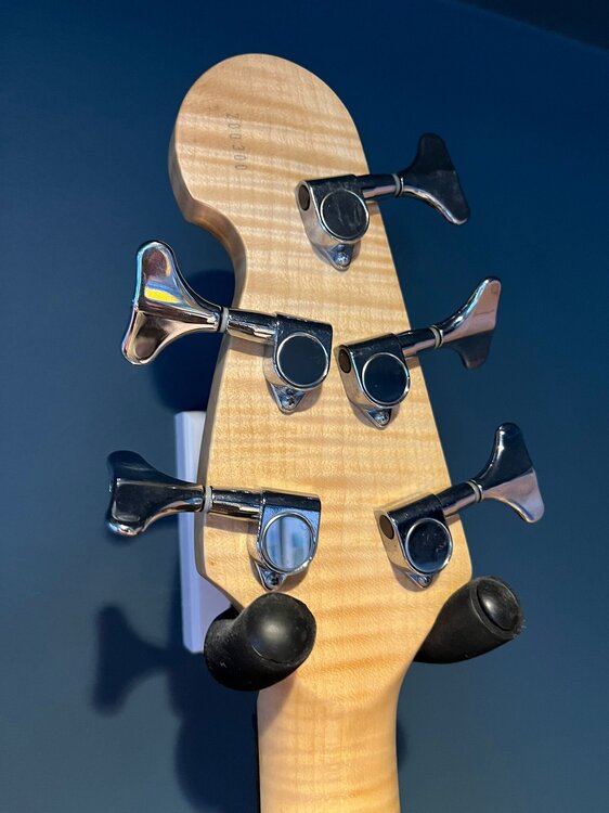 WhatsApp Image 2026-01-17 at 11.20.33.jpeg