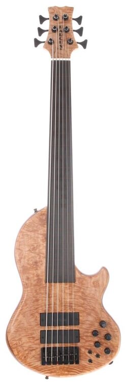 Barcus_fretless_6.thumb.jpg.a8b5beca3323b313cf0ccfb848438ee5.jpg