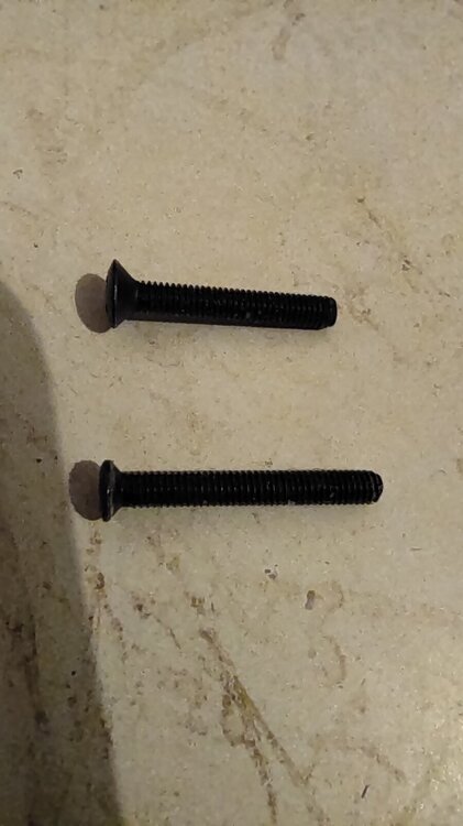 GenuineGotohtunerbuttonscrewvs_copy.thumb.jpg.3616e495b398af250d9b00e200a1b730.jpg