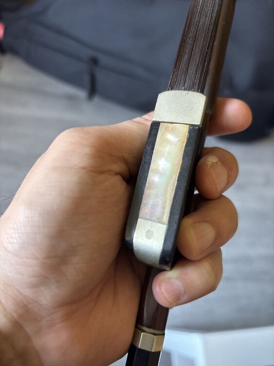 bow - 2026-02-22 10.41.43.jpg