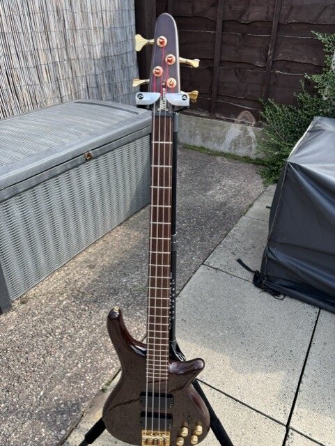 SGC Nanyo Bass collection SB330 - Basses For Sale - Basschat